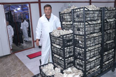 D­e­v­l­e­t­ ­d­e­s­t­e­ğ­i­y­l­e­ ­k­u­r­u­l­a­n­ ­t­e­s­i­s­ ­g­ü­n­l­ü­k­ ­5­0­0­ ­k­i­l­o­g­r­a­m­ ­m­a­n­t­a­r­ ­ü­r­e­t­i­y­o­r­